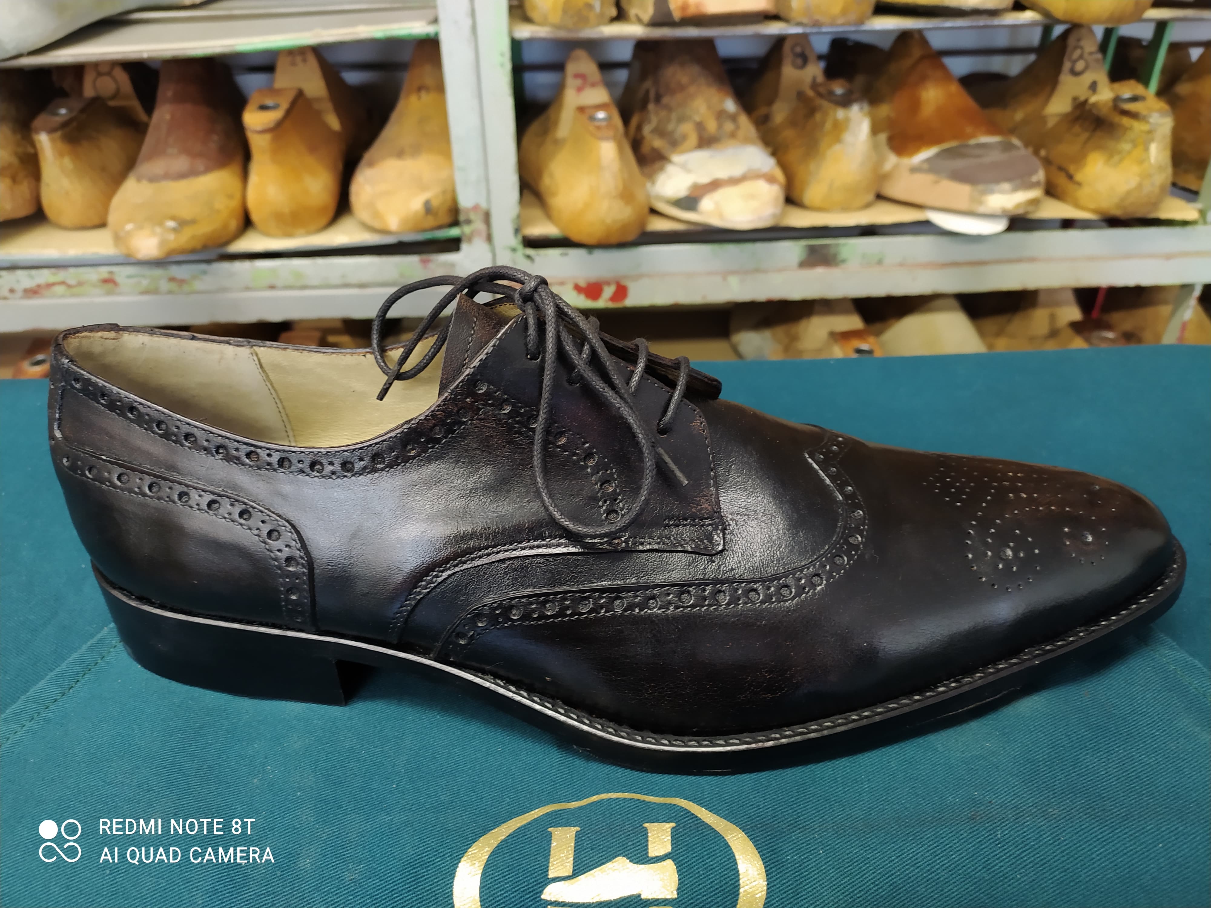 Wingtip Derby